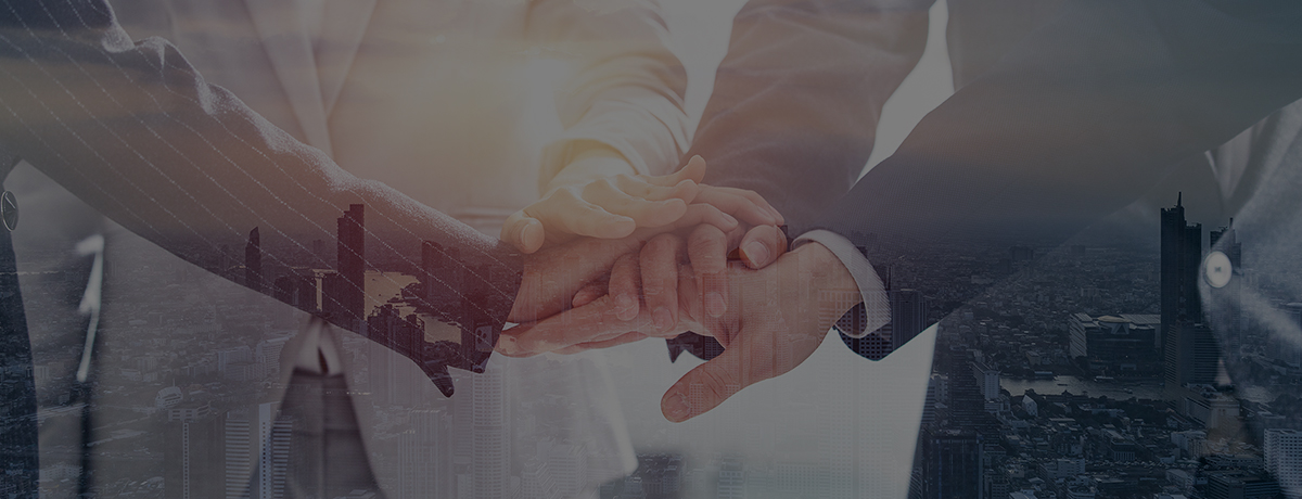 2024新澳门2024原料网